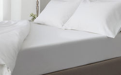 Blanc de Blanc Plain