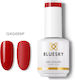 Bluesky Uv Color Semi-Permanent Nail Polish Sca...