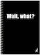Ekdoseis Aigaio Spiral Notebook Ruled A4 60 Sheets 2 Subjects Black 1pcs