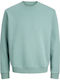 Sweatshirt Green