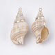Natural Seashell Hanging Motif Gold-Beige 27~61x13~29x12~22mm 2pcs
