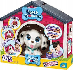 Madej Кученце Little Live Pets