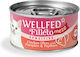 Wellfed Filleto Meze Wet Food for Adult Cats with Chicken, Pumpkin and Meat Grain-Free 70gr