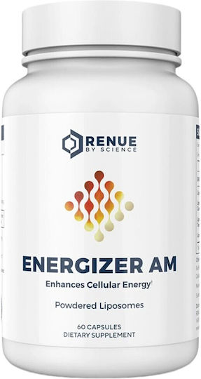 Energizer AM 60 Капсули
