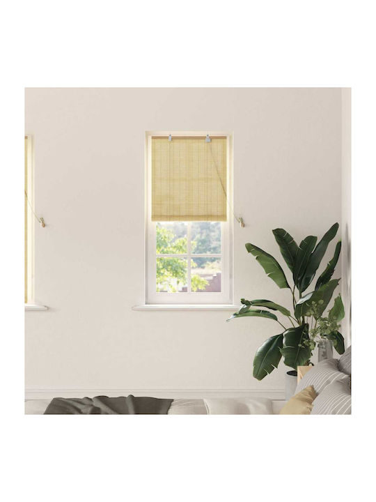vidaXL Shade Blind Bamboo in Brown Color L60xH160cm