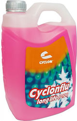 Cyclon Lichid de răcire pentru motorul mașinii Mașină G12+ -50°C Violet Culoare 4lt