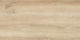 Izida Fliese Boden Innenbereich 60.6x30.3cm Beige