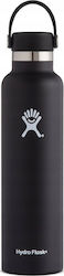 Hydro Flask Standard Mouth 710ml Μαύρο