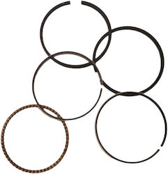 Sym Symphony S 50/sr 50/mio 50/jet 4 50 Γν Motorradkolben & Zylinder