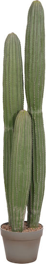 Dekoratives Künstliches Pflanze Hm4744 Kaktus Topfpflanze F17 5x105cm Dekoratives Künstliches Pflanze Hm4744 Kaktus Topfpflanze F17 5x105cm