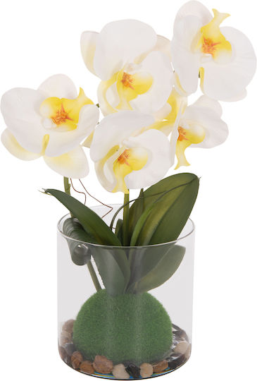 Decorative Synthetic Plant Hm4738 Phalaenopsis Flower Glass Vase 12x24x30cm Decorative Synthetic Plant Hm4738 Phalaenopsis Flower Glass Vase 12x24x30cm