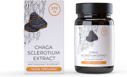 Endoca Chaga Mushroom Extract 370mg 30 Capsules