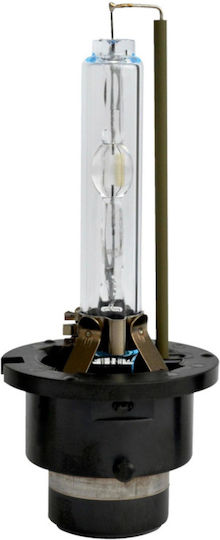 Würth Bec Auto Xenon D4s Xenon 12 V