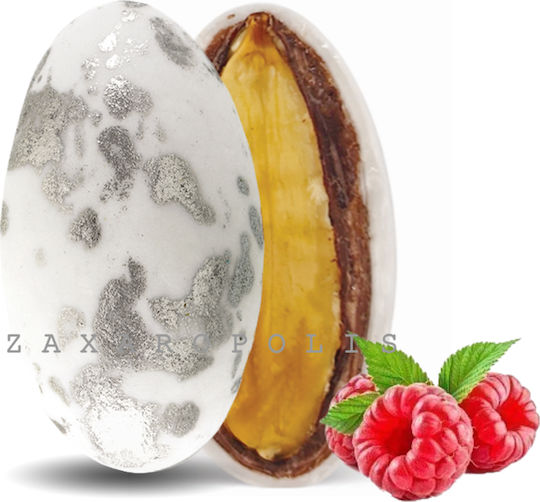 Zaxaropolis My Choco in Form von Standard mit Geschmack von Schokolade Silber 1000gr