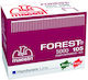 Forest Heftklammern 105/5000