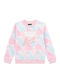 Kids Sweatshirt Rainbow Multi Combo