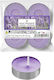 HOMie Tealights With Magnolia Scent In Purple C...