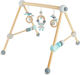 Bieco Baby Activity Gym for Newborns