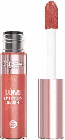 Set Machiaj L'oreal Make Up Lumi