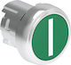 Kopf Druckknopf Metallisch Premium Rückstellung Flach Grüne Symbol I Φ22
