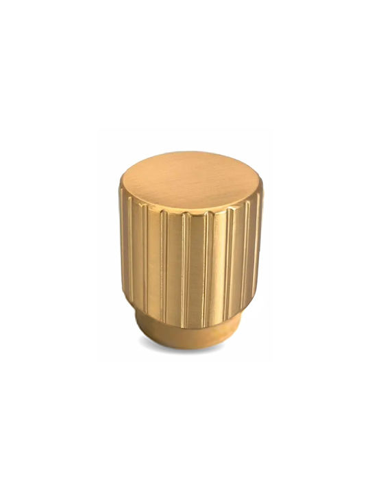 Conset Furniture Knob from Metal in Gold Colour C1537-22-S26S26