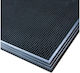 Covoraș Dezinfectant Pentru Intrare Sani Trax