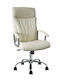 24Mall Executive Office Chair with Beige Arms