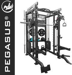 Pegasus Trainer Crossover/Πολυόργανο με Βάρη 200kg Pegasus Trainer Crossover/Πολυόργανο με Βάρη 200kg