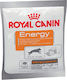 Royal Canin Dog Supplements & Vitamins Energy T...