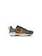 Pegasus Trail 5 Sport Shoes Trail Running Gray