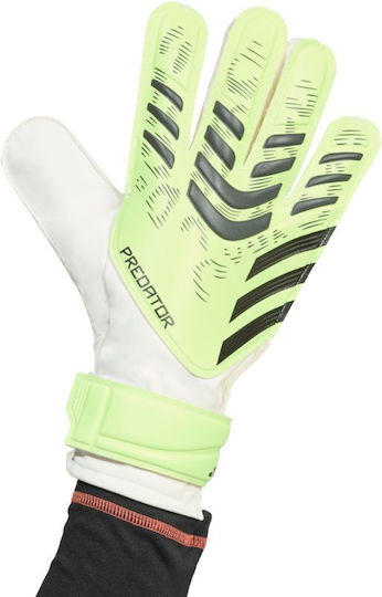 adidas Predator Training Γάντια Τερματοφύλακα Ενηλίκων Πράσινα
