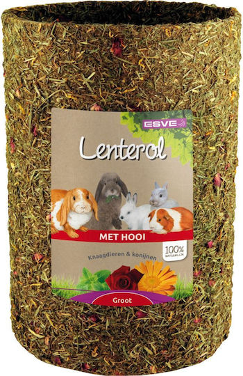 Esve Lenterol Игра Лекува Зайчета и Гризачи 30см