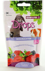 Esve Drops Μούρα Κουνέλια & Τρωκτικά 75gr Esve Drops Μούρα Κουνέλια & Τρωκτικά 75gr