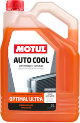 Motul Auto Cool Optimal Ultra Lichid De Răcire Condensat Pentru Motorul Mașinii G12+ -37°C Motul Auto Cool Optimal Ultra Lichid De Răcire Condensat Pentru Motorul Mașinii G12+ -37°C