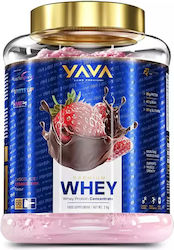 Yava Labs Premium Whey Chocolate Strawberry 2kg Yava Labs Premium Whey Chocolate Strawberry 2kg