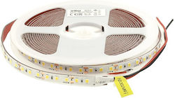 Vito Ταινία LED Ρυθμιζόμενο Λευκό 5m Vito Ταινία LED Ρυθμιζόμενο Λευκό 5m