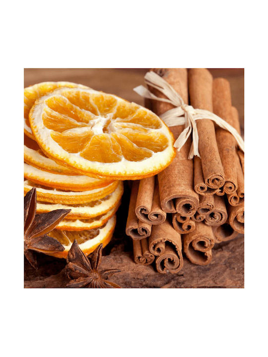 Gerakis Refill Liquid for Diffuser with Fragrance Cinnamon 003928OCI