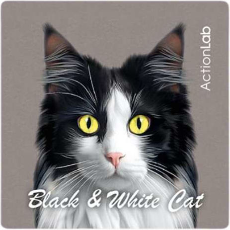 Μαγνητάκι Ψυγείου Action Lab Black & White Cat