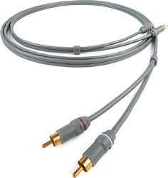 Chord Analogue RCA male - RCA male