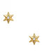 Polytimo Earrings made of Gold 14K with Stones