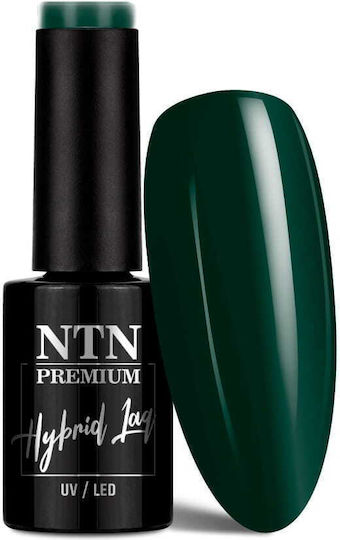Ntn Premium Hybrid Gel Nagellack Nach Mitternacht Kollektion 5 G Nr 71