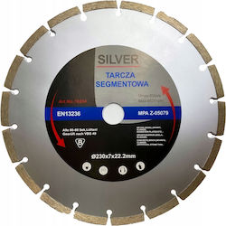 Silver Star Δίσκος Κοπής Δομικών Υλικών 230mm Silver Star Δίσκος Κοπής Δομικών Υλικών 230mm