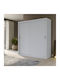 Ușă dublă Dulap de Haine Glisare Reflex Alb 180x60x215cm