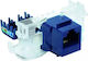 Rj45 Utp Cat 5e Keystone Jack Blau Werkzeugfrei Dcn/fa-s682mk-8-c5e
