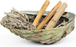 Smudge Set Palo Santo Sage Shell Space Aura Cleansing