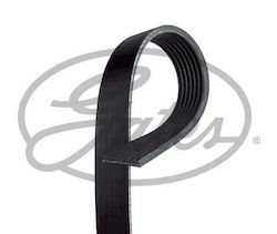 Dynamo Belt 7pk1515 Toyota Hilux Dynamo Belt 7pk1515 Toyota Hilux