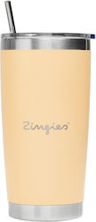 Zingies Glass Thermos Stainless Steel / Plastic...
