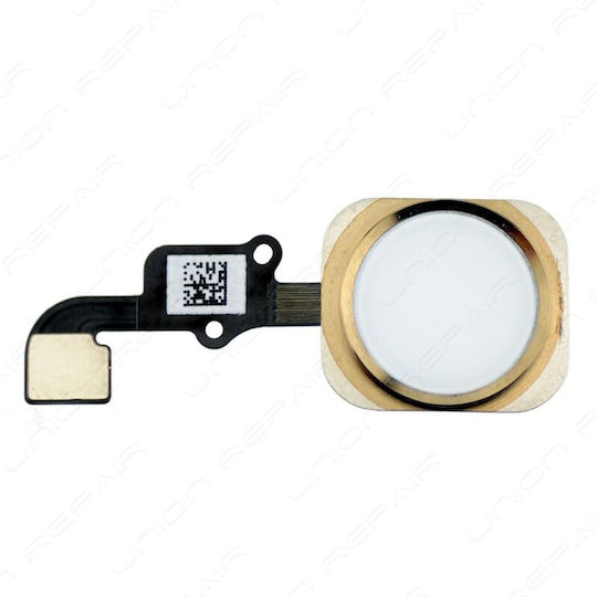 Καλωδιοταινία Home Button Iphone 6 6 Plus Λευκό Χρυσό