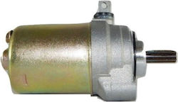 W Standard Motorcycle Starter Motor 110822