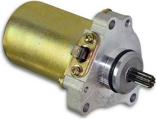 W Standard Motorcycle Starter Motor for Kawasaki JOY-R for Modenas Kriss / X-CITE 100975